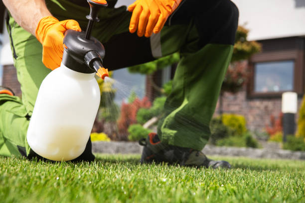 Reliable East Palatka, FL Pest Control Solutions