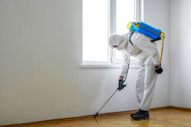 Best Flea Control Services  in East Palatka, FL