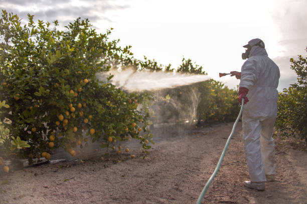 Best Ant Control Services  in East Palatka, FL