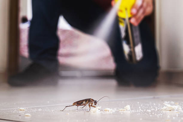 Best Cockroach Control Services  in East Palatka, FL