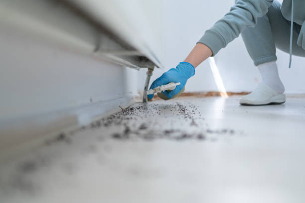 Best Bed Bug Extermination  in East Palatka, FL